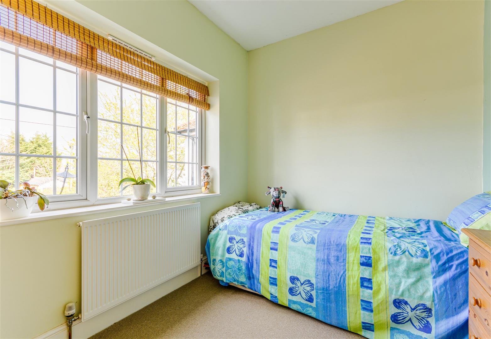 Hastings Road, Battle Rush, Witt & Wilson